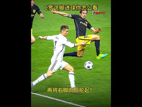 體育新聞,巴薩尋求引,進新後腰,世界杯赛程,2026世界杯,比赛时间,场馆信息,赛事安排