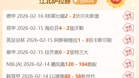 尼克斯近期连胜，专家详解大乐透期号推荐
