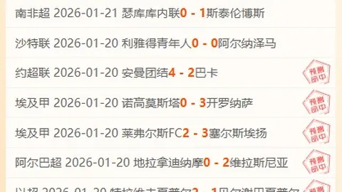 热刺换帅考量：图多尔未达预期，专家推荐新方向